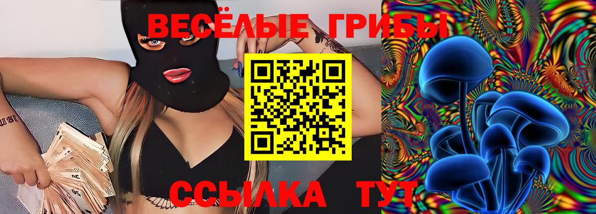Псилоцибиновые грибы ЛСД Добрянка