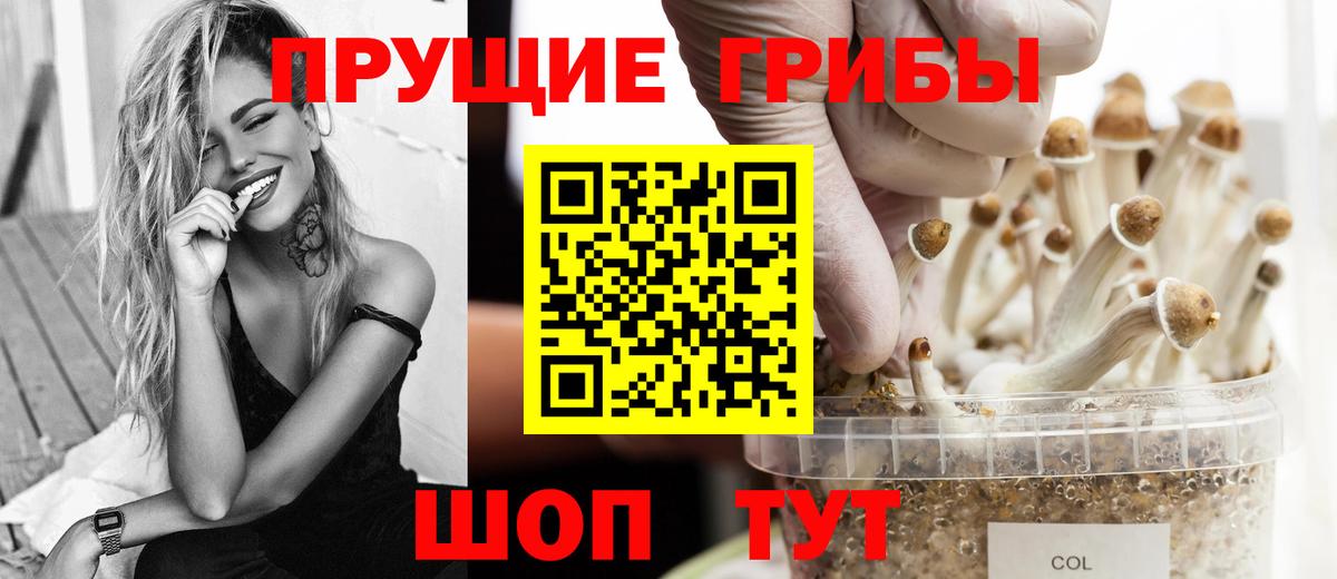Галлюциногенные грибы Добрянка